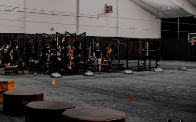Variable Training: Elevating Performance with Instinctual Play